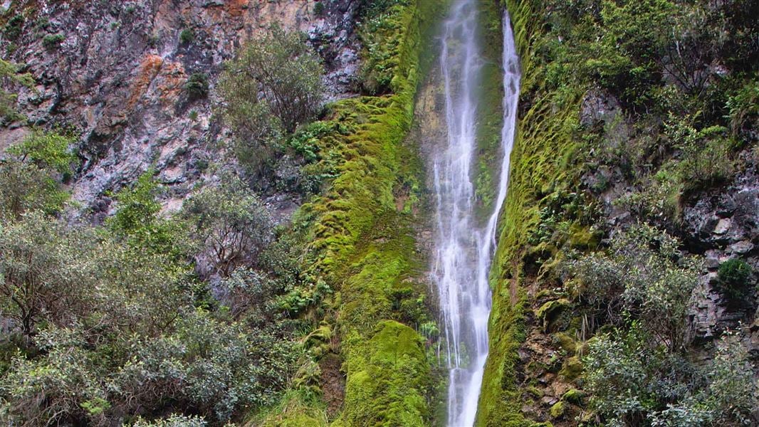 Dog Stream Waterfall walk, Hanmer Springs